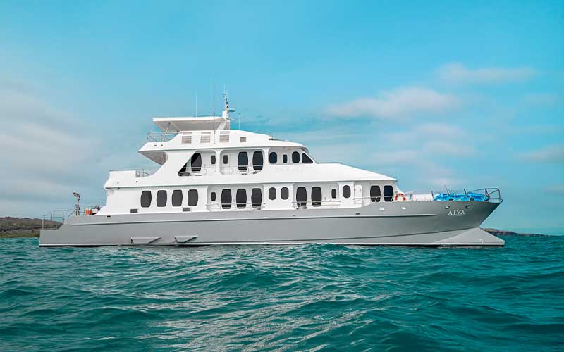 alya luxury catamaran travel Cruise to Galapagos