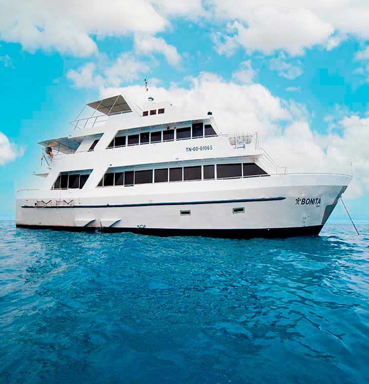 bonita catamaran view exterior