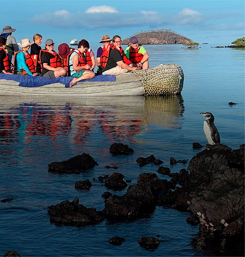 familias conociendo especies únicas panga ride bonita crucero a Galápagos
