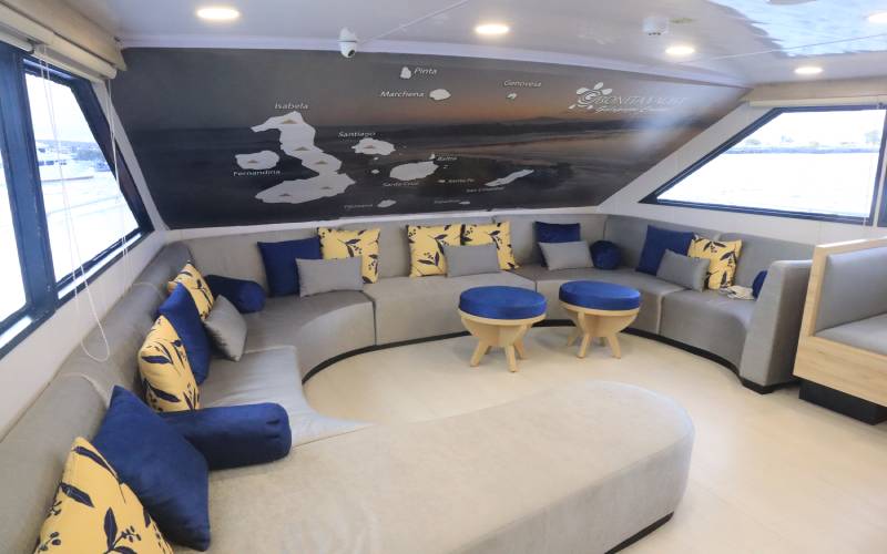 elegante sala de estar decorada con la naturaleza bonita crucero a Galápagos