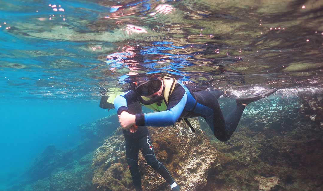 snorkeling activity bonita cruise to Galapagos