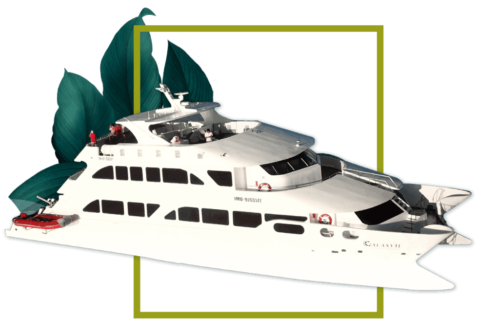 Galapagos Cruises - EcoGalaxy Catamaran: Friendly environment Galapagos Cruises - EcoGalaxy Catamaran: Friendly environment
