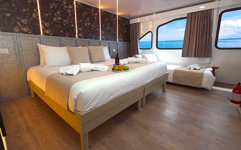 ecogalaxy upper deck king size cabin cruise to Galapagos