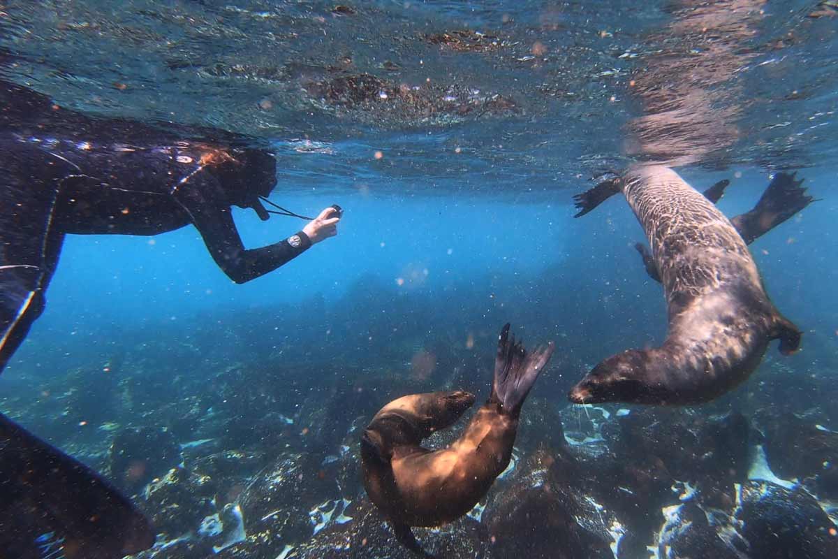 snorkeling activity ecogalaxy cruise to Galapagos