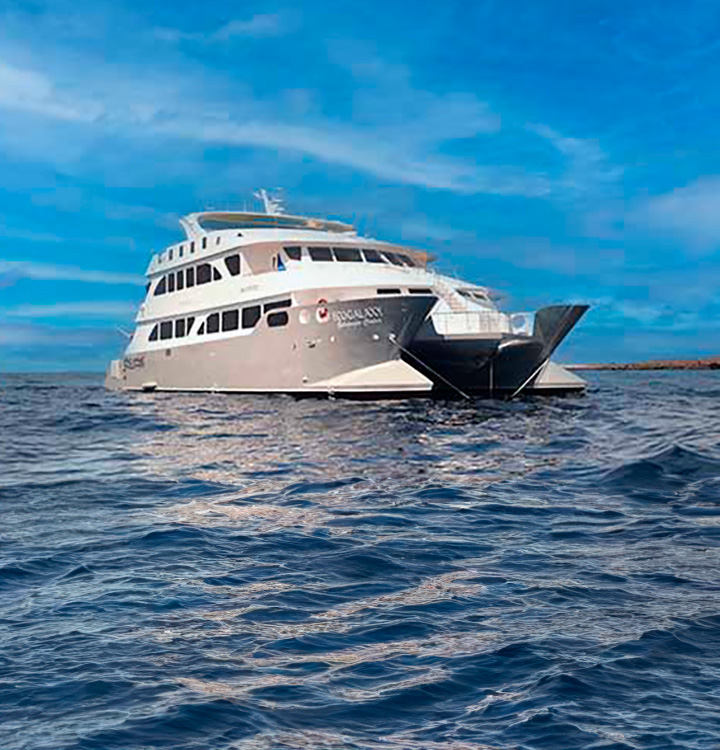 ecogalaxy catamaran travel Cruise to Galapagos