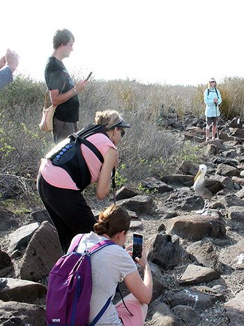 see a variety of birds by hiking Islands Galapagos cruise ship