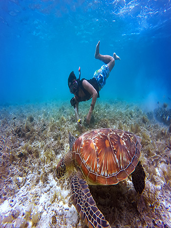 snorkeling activity Endemic Catamaran Galapagos cruise ship