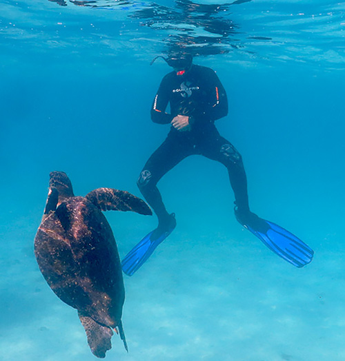Encuentre una gran variedad de vida marina practicando snorkel Galaxy Tour Diario