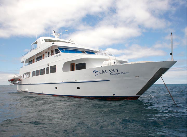 galaxy catamaran cruise to Galapagos