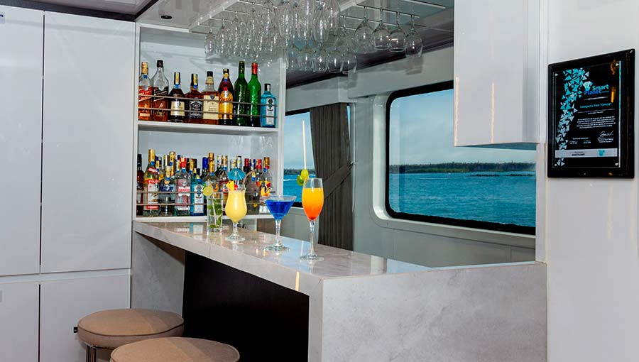 experience in the bar galaxy cruise to Galapagos