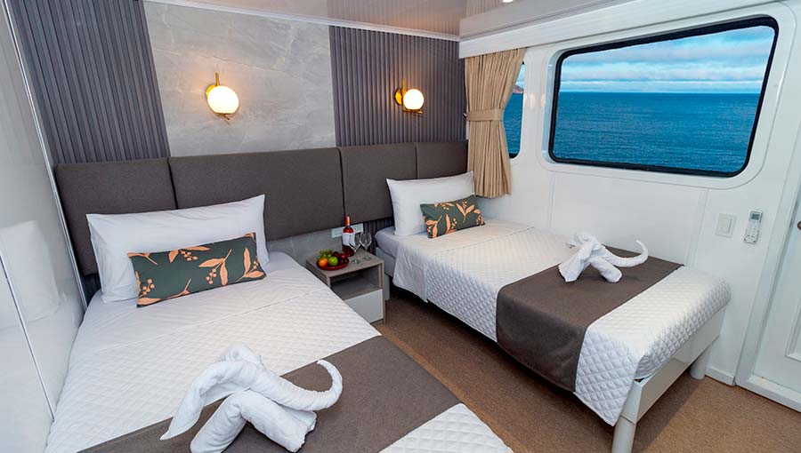 galaxy twin cabin decorated cruise to Galapagos
