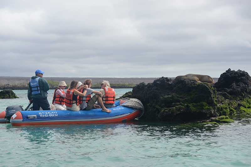 families getting to know unique species panga ride galaxy cruise to Galapagos