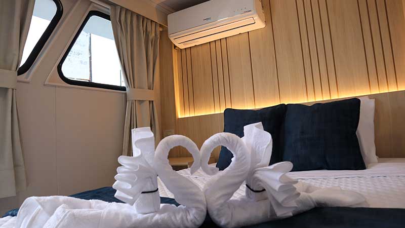 Matrimonial cabin - Galaxy Diver - Cruise
