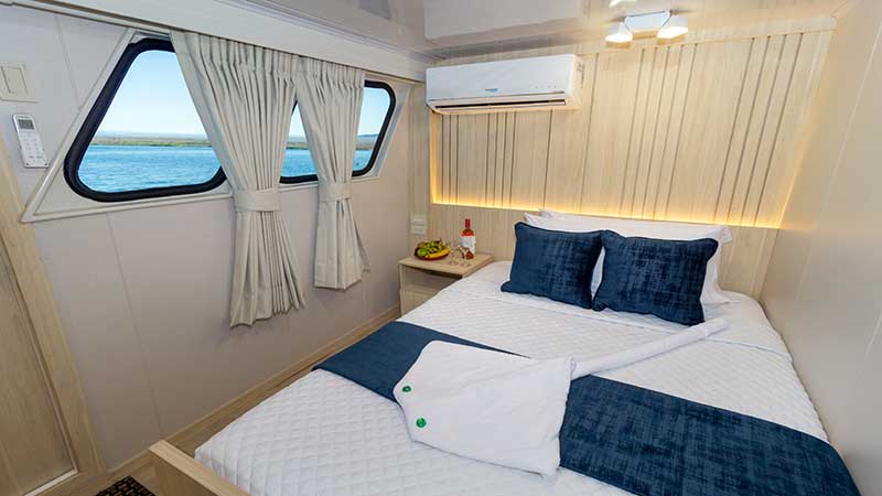 relaxing area comforting galaxy diver cruise to galapagos