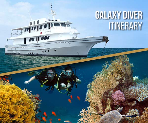 Itinerary Galaxy Diver - Galapagos Islands