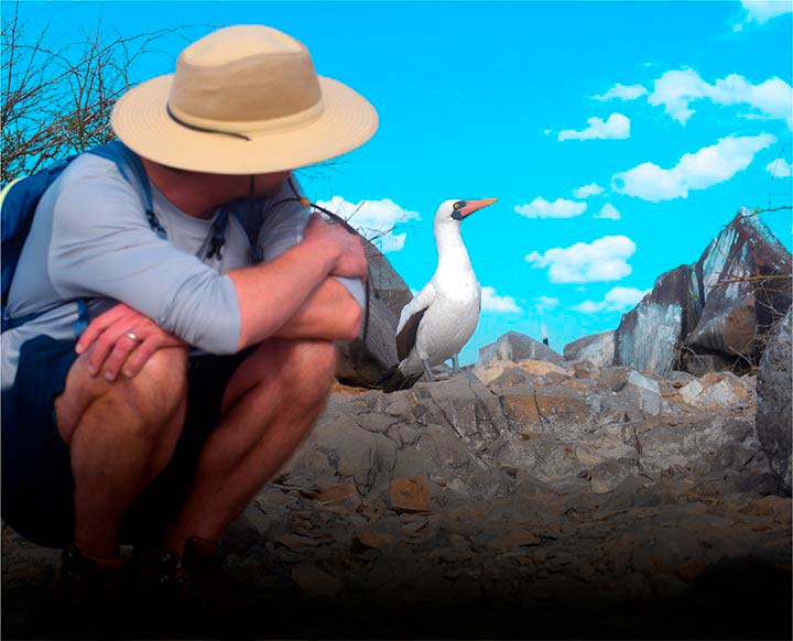 Galapagos experience - wildlife