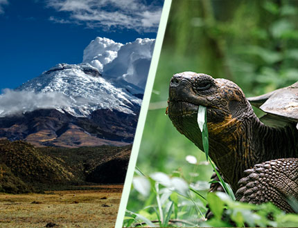 Andes - Glapagos: Volcano