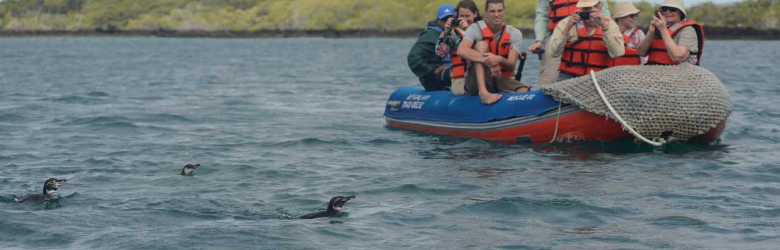 Galapagos Cruise: Bonita Yacht