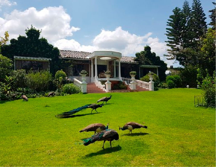 Ecuador - Otavalo: La Mirage Garden