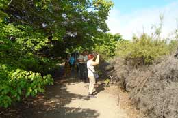 Galapagos Islands: Manzanillo