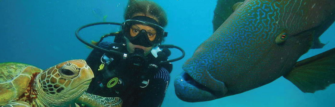 Cruise to Galapagos: Scuba Diving