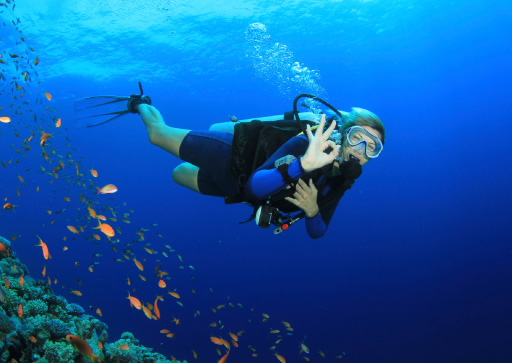 Cruise to Galapagos: Diving