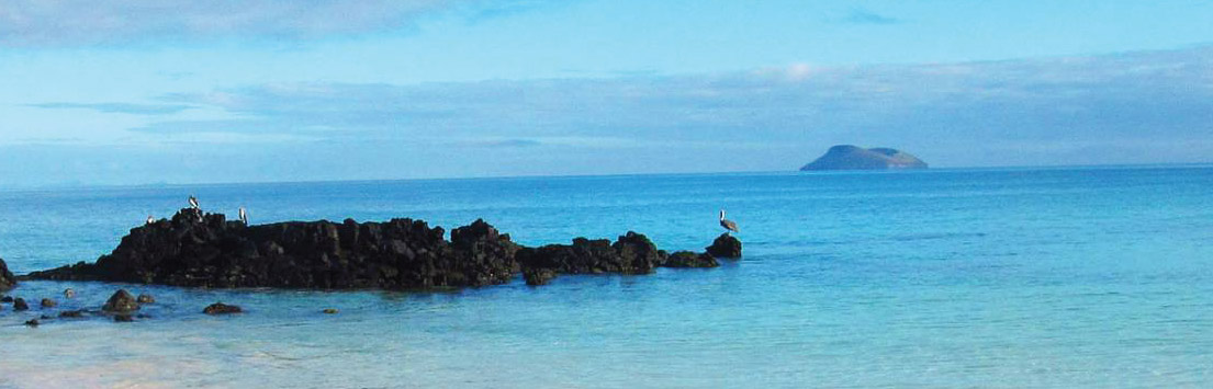 Galapagos North Seymour