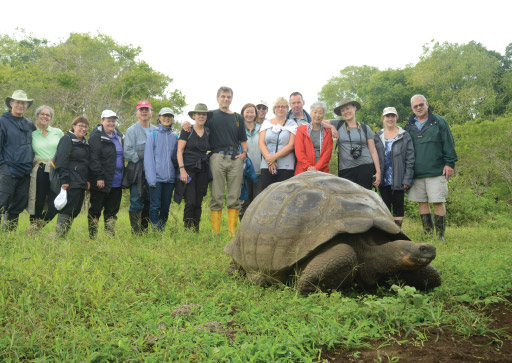 Galapagos Cruise: Tourist together with giant tortoise