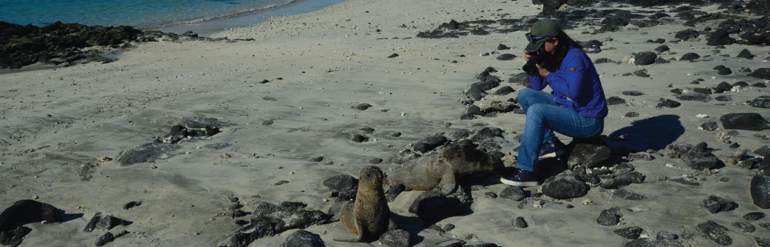 Cruise to Galapagos: Guest with Sea Lion