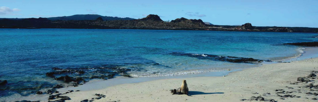 Galapagos: Isabela