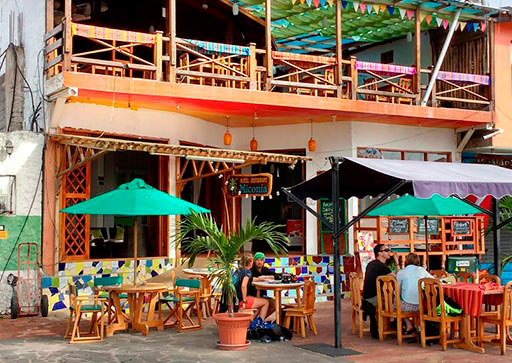 Galapagos: Miconia Hotel - Standard Room