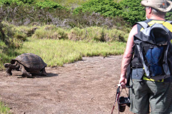 Galapagos: Turtle and Tourist