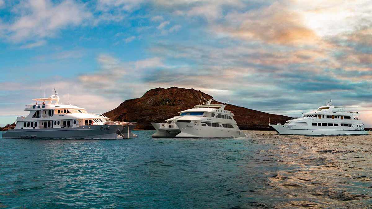 Best Cruise To Galapagos , Galapagos Cruises , Galapagos travel