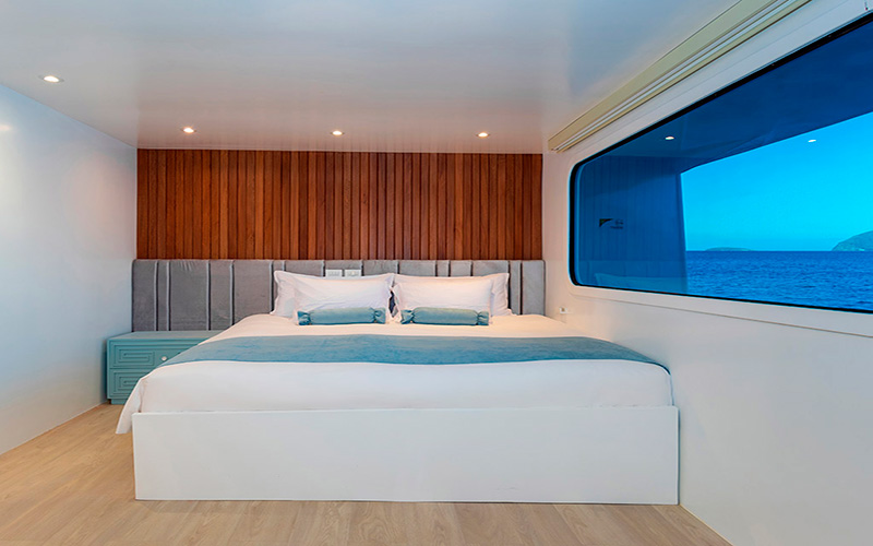Cozy king cabin for passengers on a cruise to Galapagos