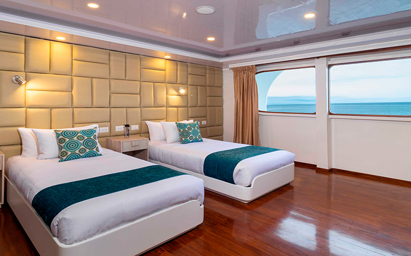 Petrel Catamaran cabin twin with adjustable beds cruise to Galapagos