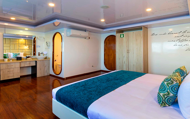 Petrel Catamaran cabin single cabin with desk and mirror cruise to Galapagos