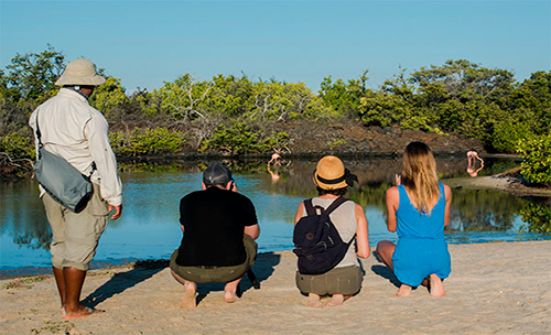 Huéspedes y guía naturalista observando un lago y la naturaleza de la isla Isabela viaje a Galápagos Catamarán