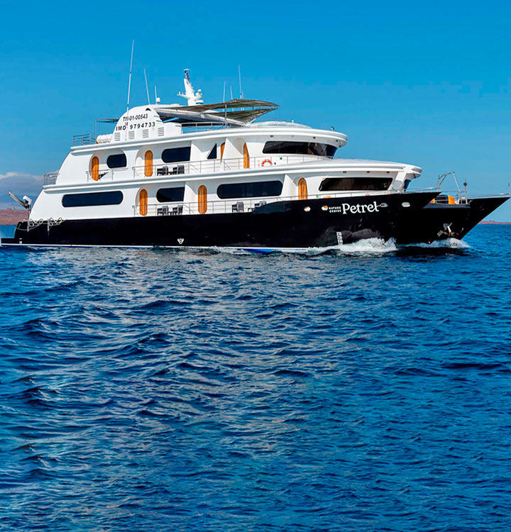 Petrel Catamaran luxury catamaran travel cruise to Galapagos
