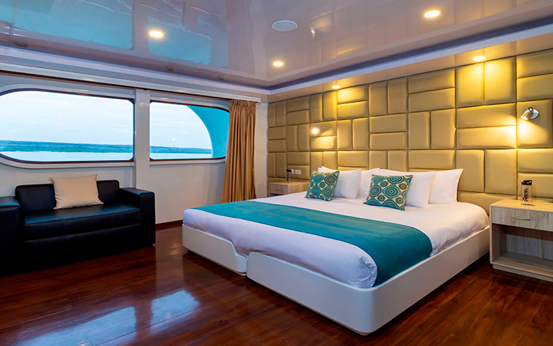 Petrel Catamaran cabin with king size bed and ocean view cruise to Galapagos
