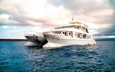 The Galapagos aboard Alya Luxury Catamaran