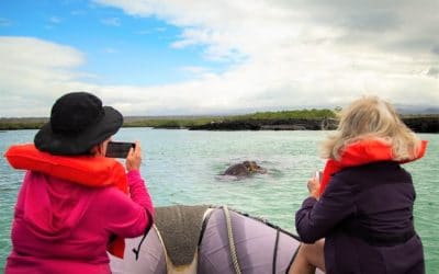 A dreaming trip to the Galapagos Islands