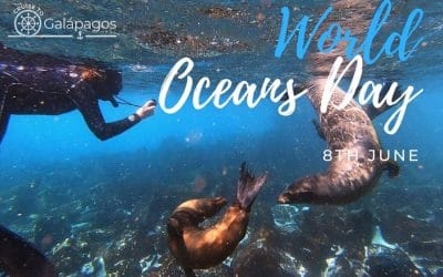 8th June World Oceans Day
