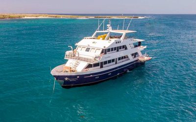 M/Y Bonita Launched