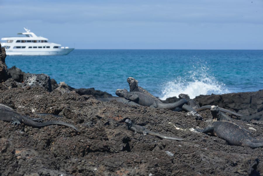 Rediscover the Galapagos Islands after 500 years