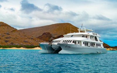 The Best Galapagos luxury cruise | 5-Days Itinerary