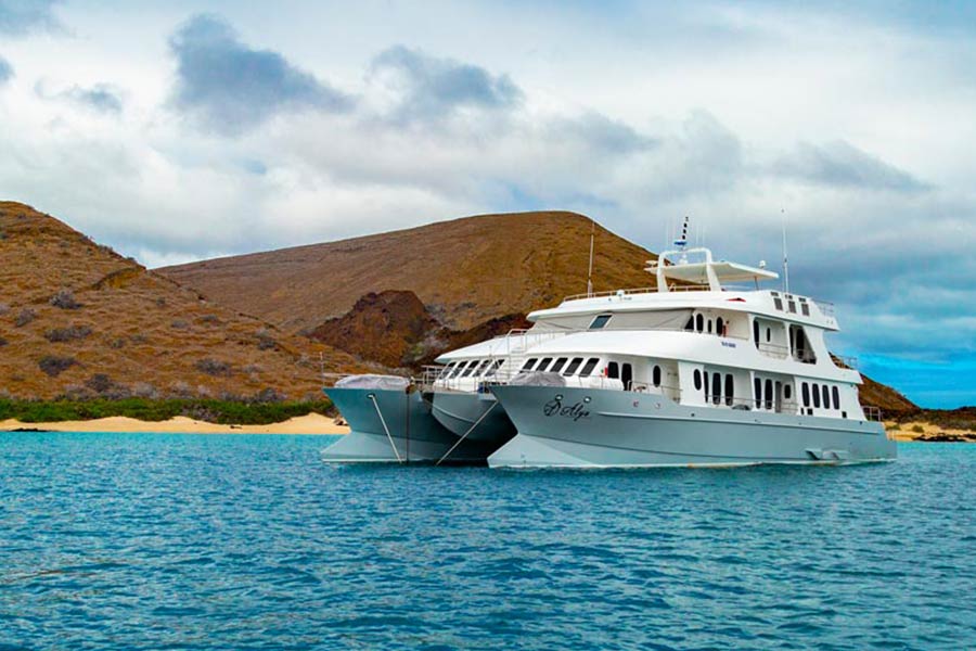 luxury cruise to galapagos