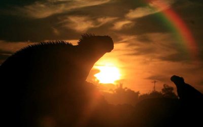 Ecological Night on board a Eco-cruise in Galapagos