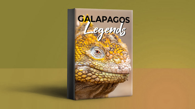galapagos affair