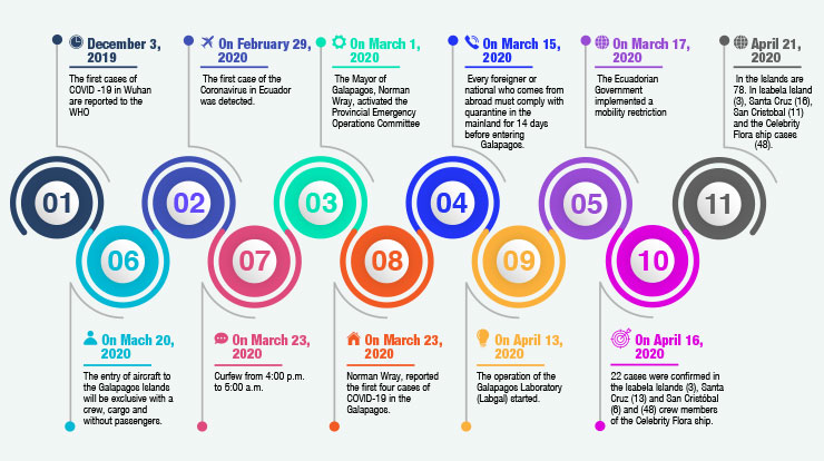 Time Line-COVID 19