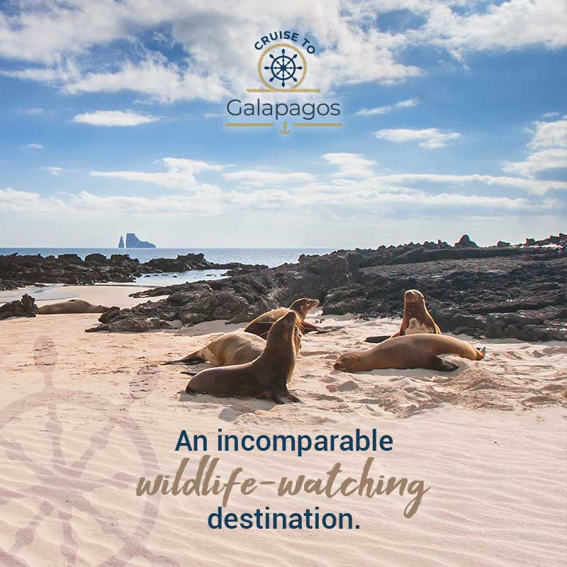 Cruise To Galapagos